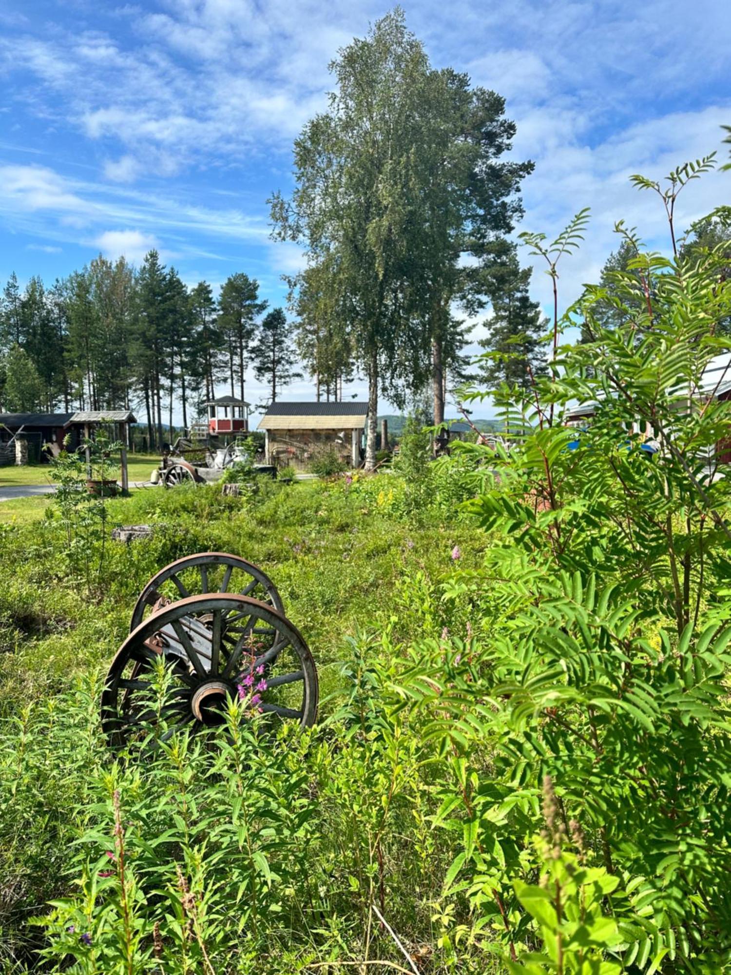 Auberge de jeunesse Backens Gaesthem à Sorsele Extérieur photo